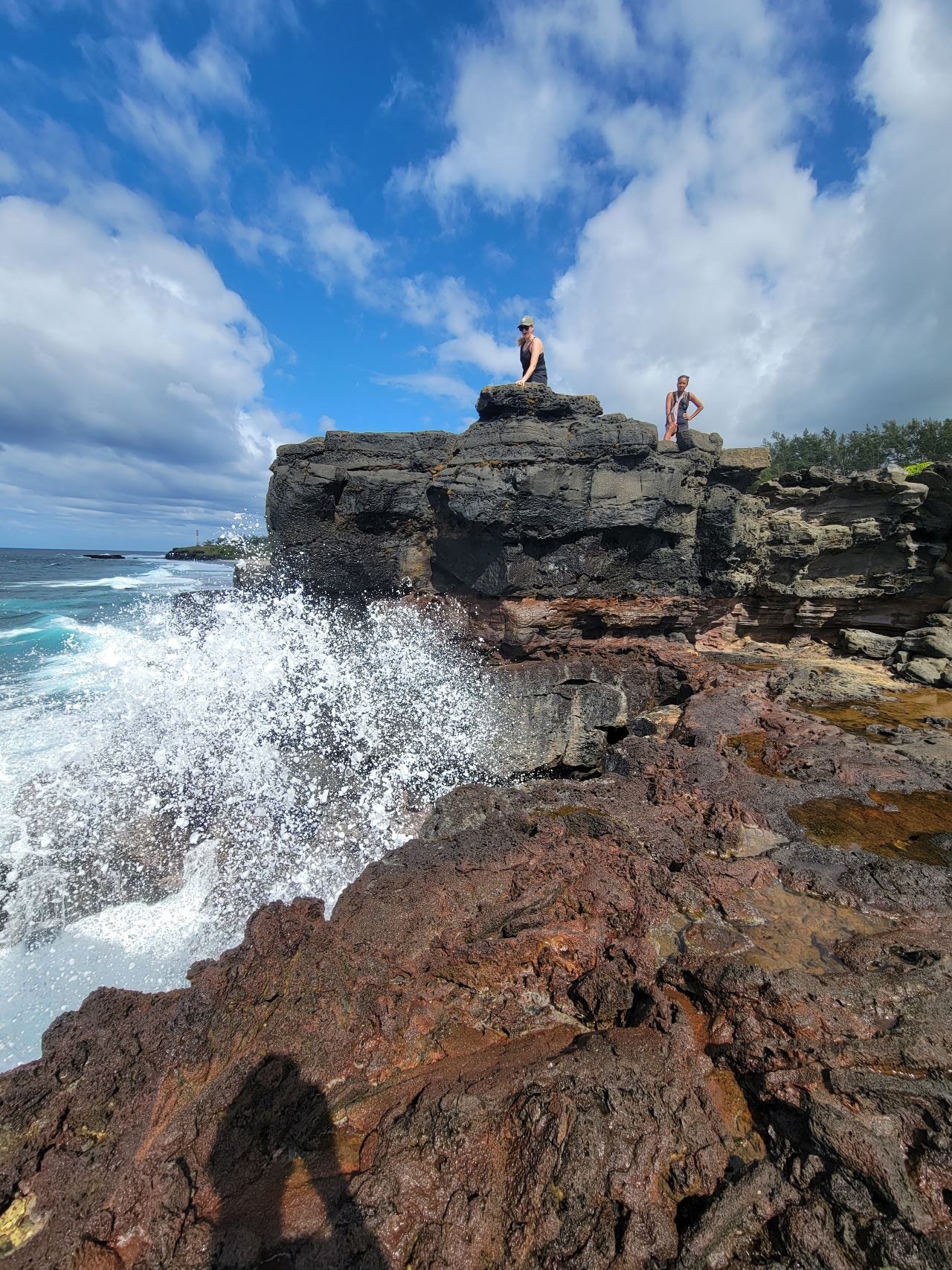 Wild South Coast