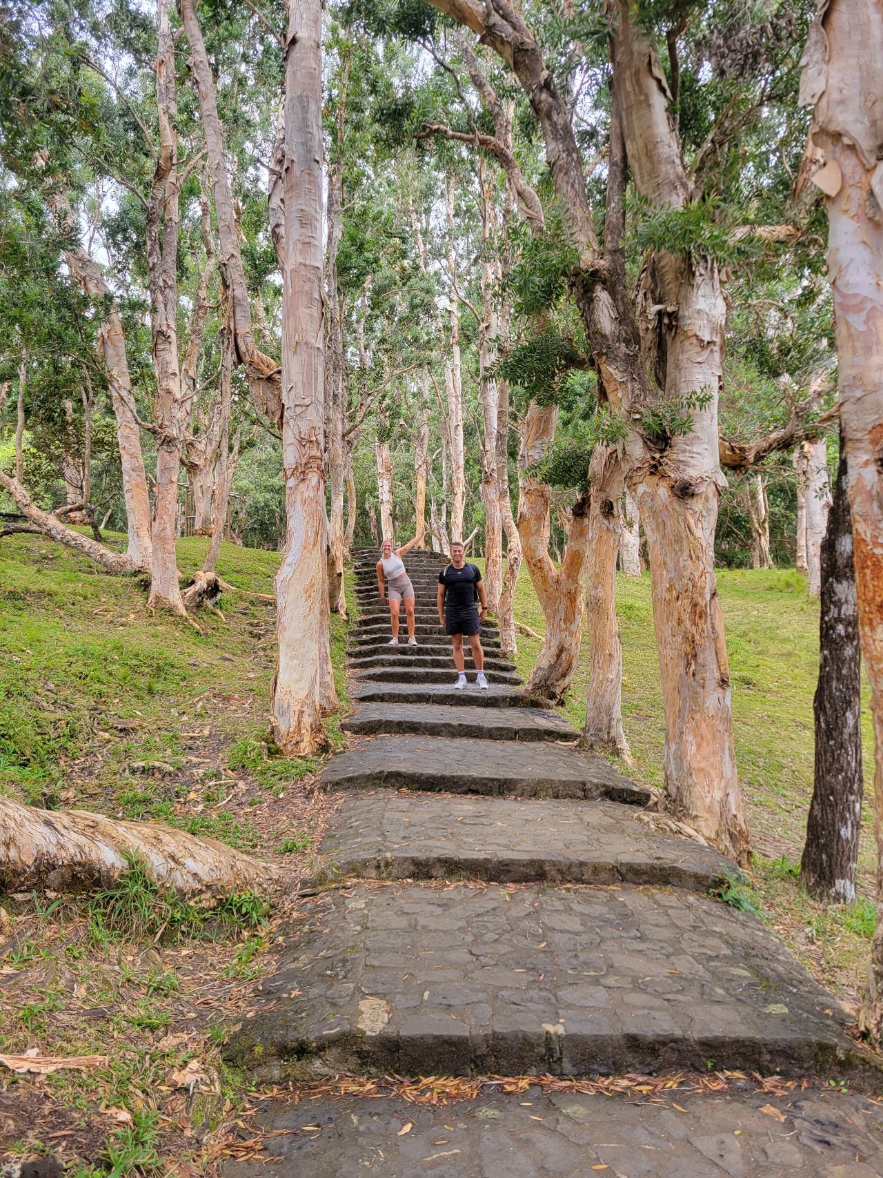 Alexandra Falls