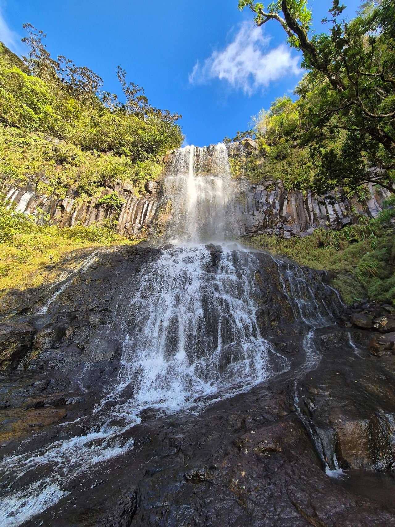 Alexandra Falls