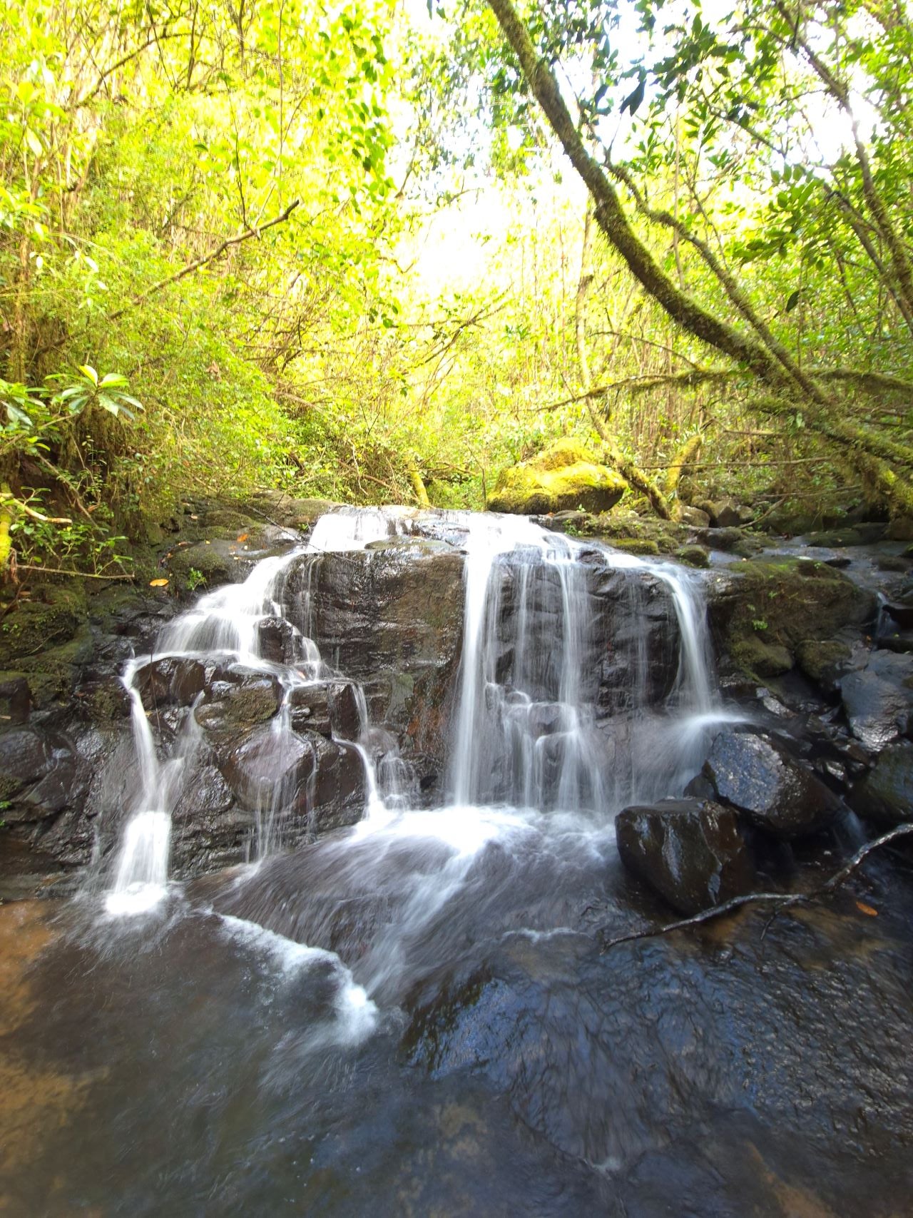 Alexandra Falls