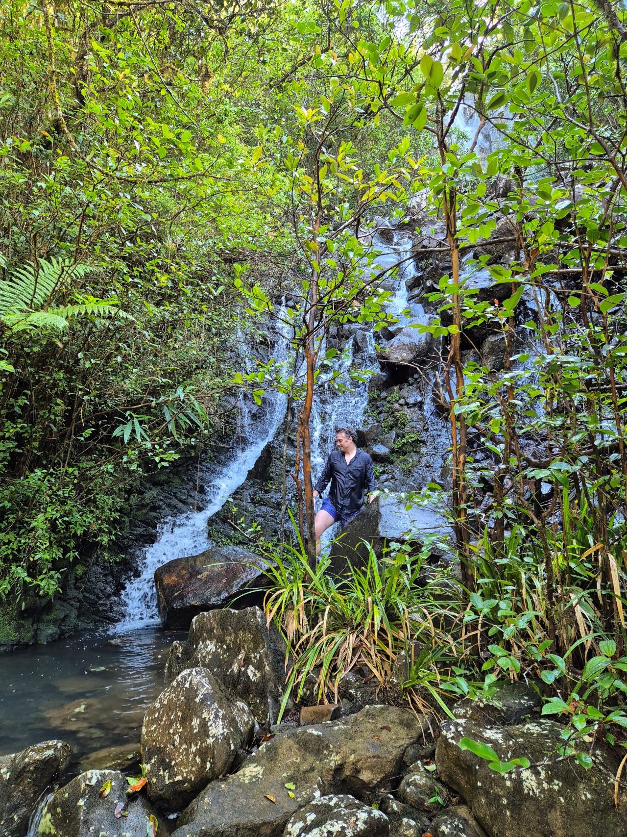 Alexandra Falls