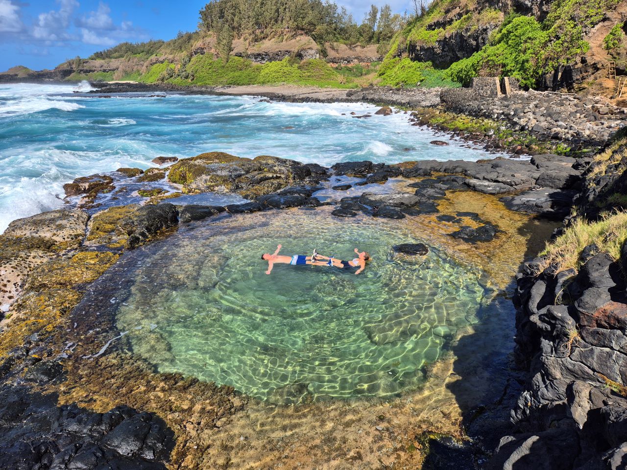 Wild South Coast